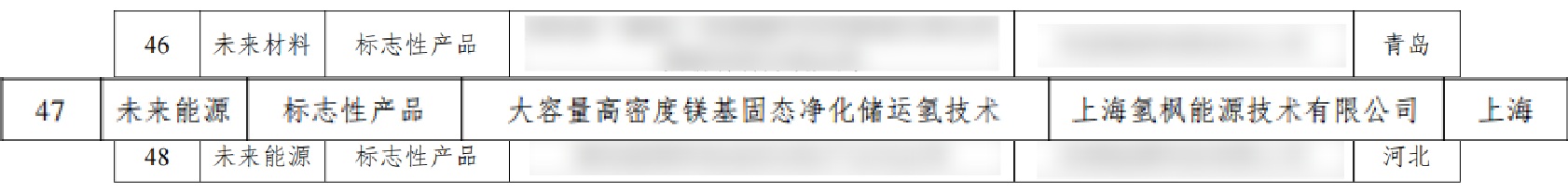 氢枫入选工信部2024年未来产业创新发展优秀典型案例-1.jpg